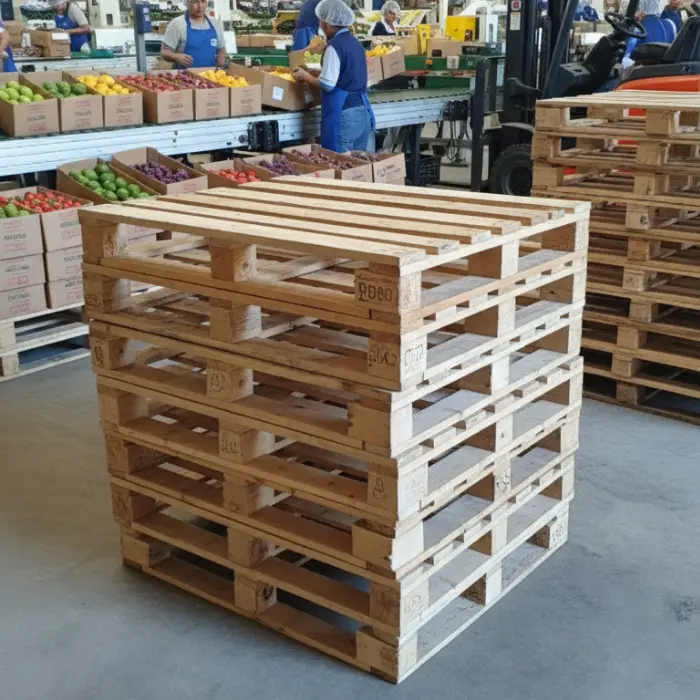 La Historia del Pallet