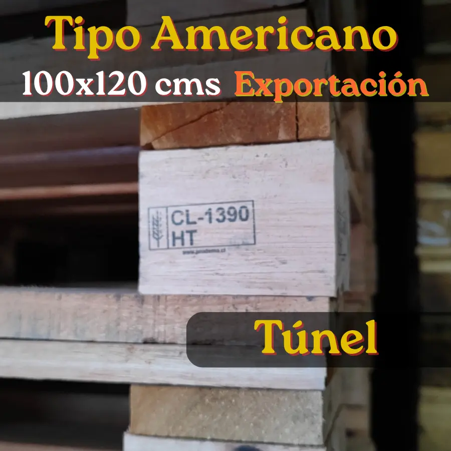Pallet Exportacion, 1x1.2 mts 9 Tacos, Tunel - Image 3