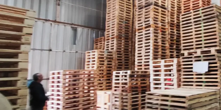 ¿Qué pallet elegir?