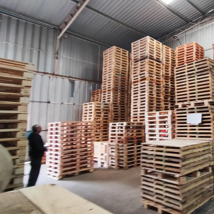 ¿Qué pallet elegir?